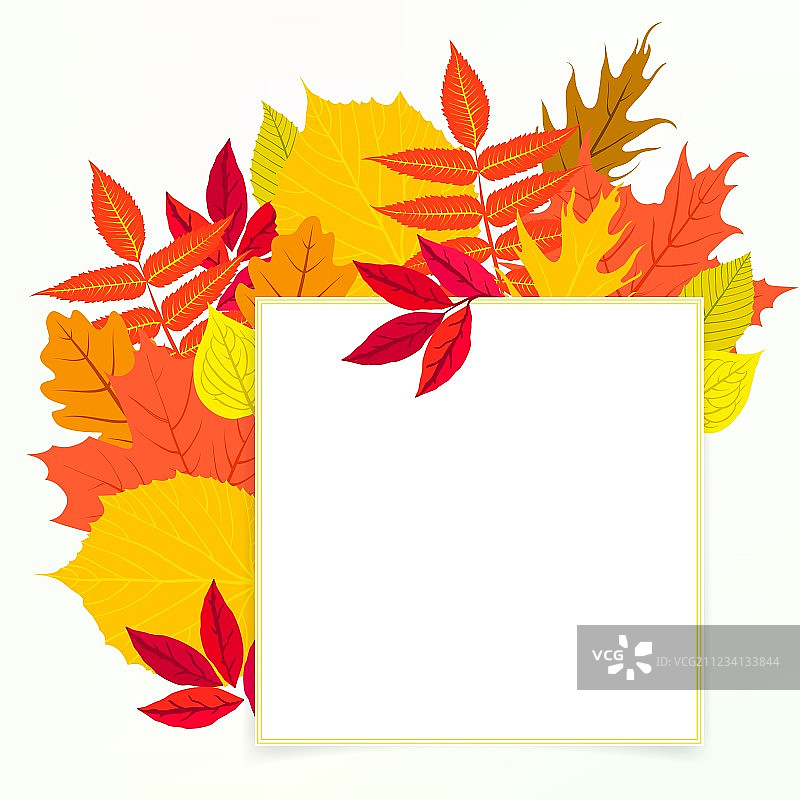 秋季装饰落叶卡片图片素材
