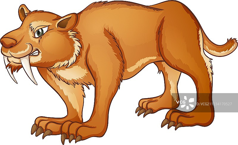 剑齿猫图片素材