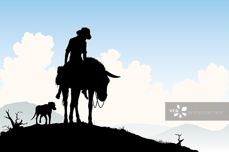 旅行的驴图片素材