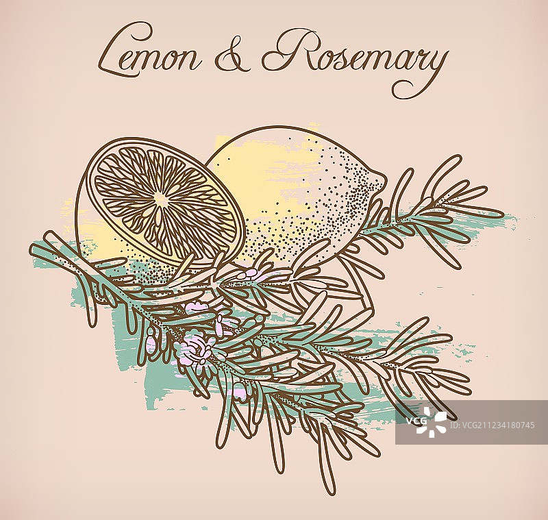 柠檬和迷迭香图片素材