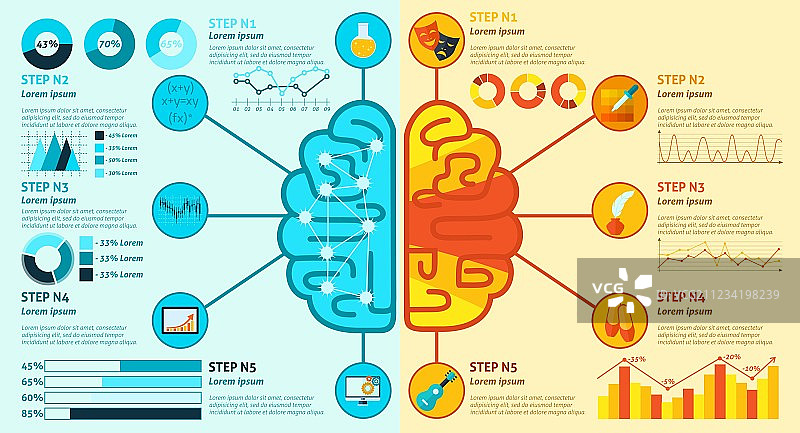 左右脑信息图图片素材