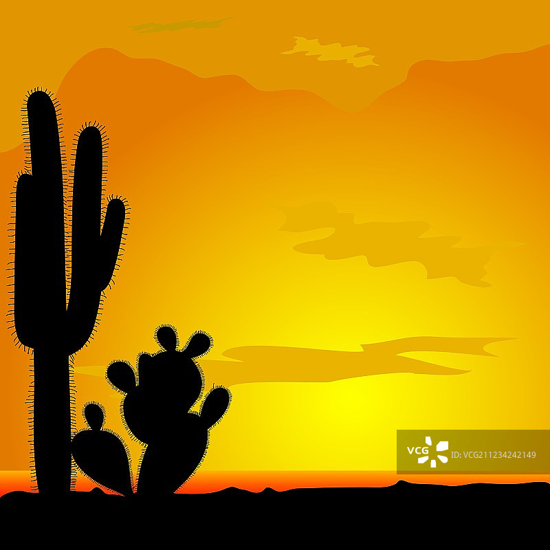 沙漠中的黑色仙人掌图片素材