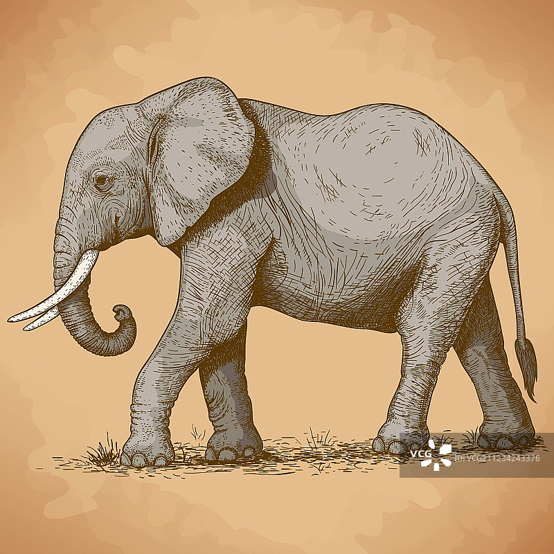 复古风格大象雕刻图片素材