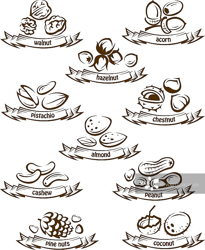 坚果图标合集图片素材
