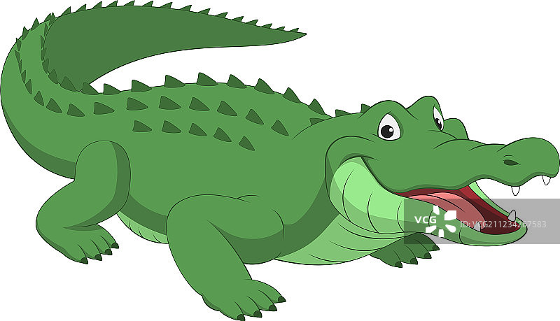 有趣的鳄鱼图片素材