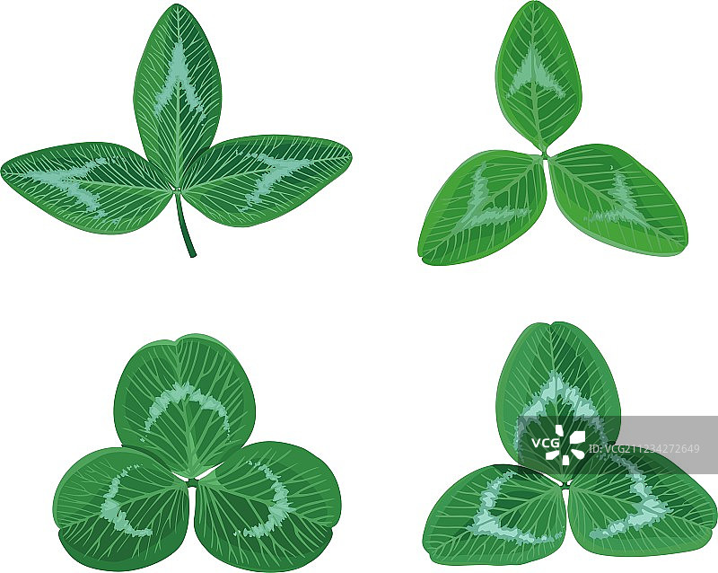 三叶草合集图片素材