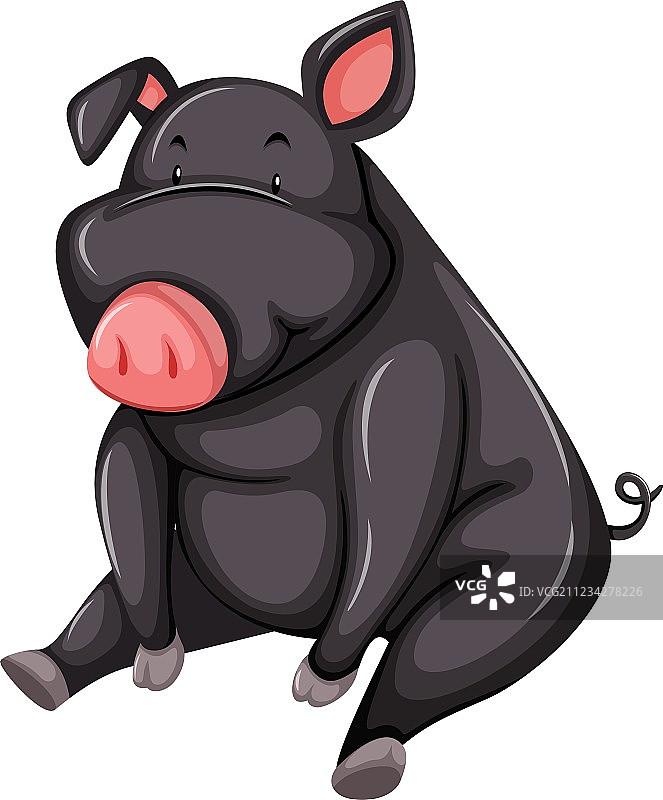 灰色猪图片素材