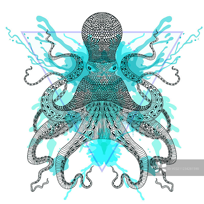 三角形框架中的Zentangle风格章鱼图片素材
