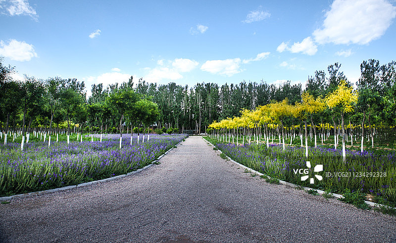 汽车广告背景图图片素材