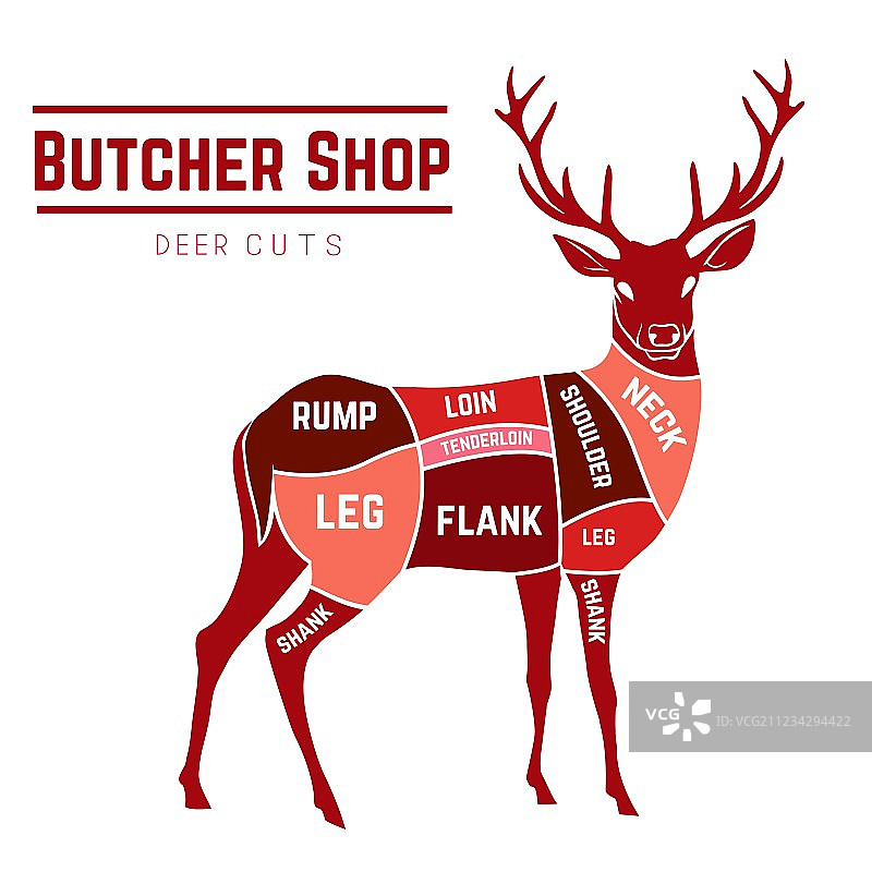 彩色鹿肉分割图图片素材