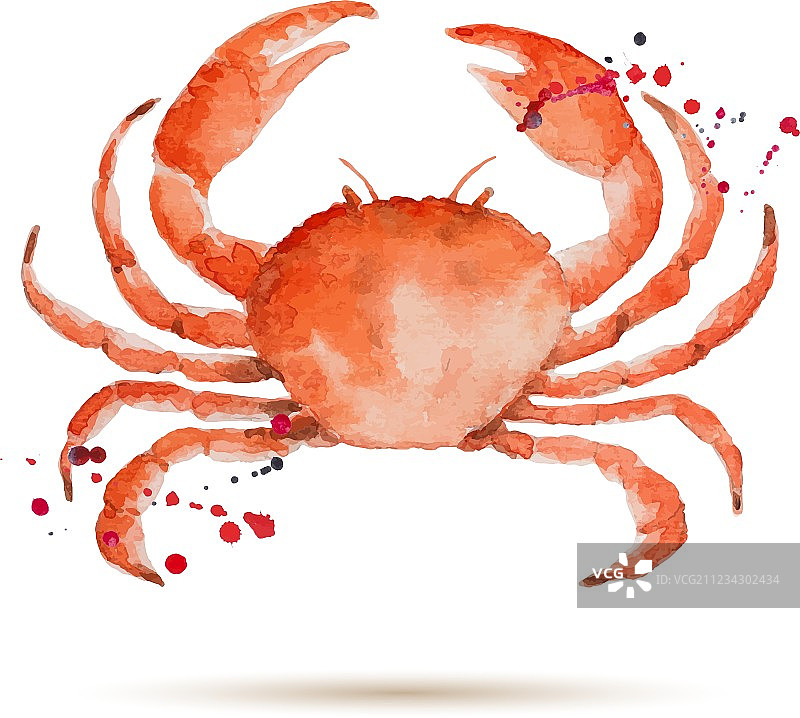 水彩螃蟹图片素材