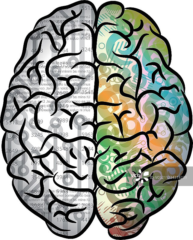 人脑颜色图片素材