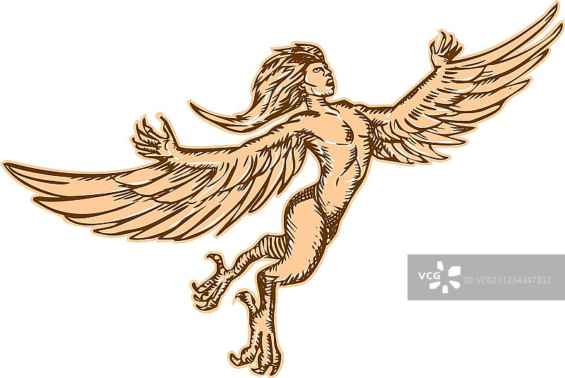 哈耳庇厄飞行正面蚀刻图片素材