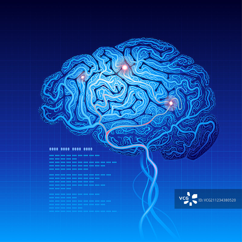 大脑图片素材