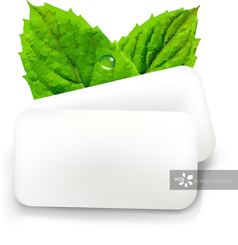 薄荷口香糖图片素材