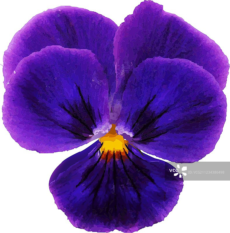 花图片素材