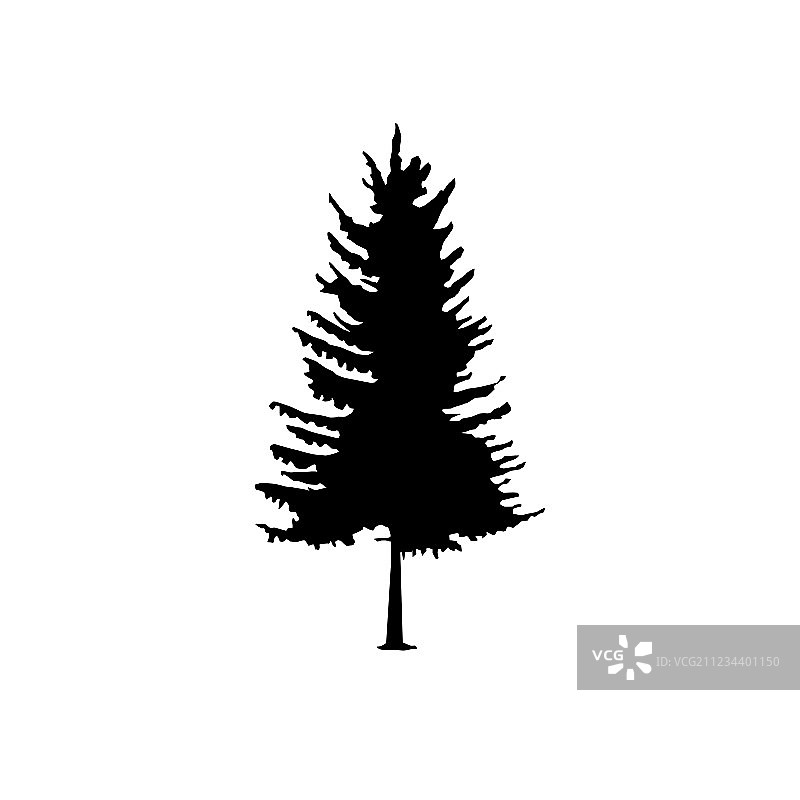 针叶树剪影图片素材