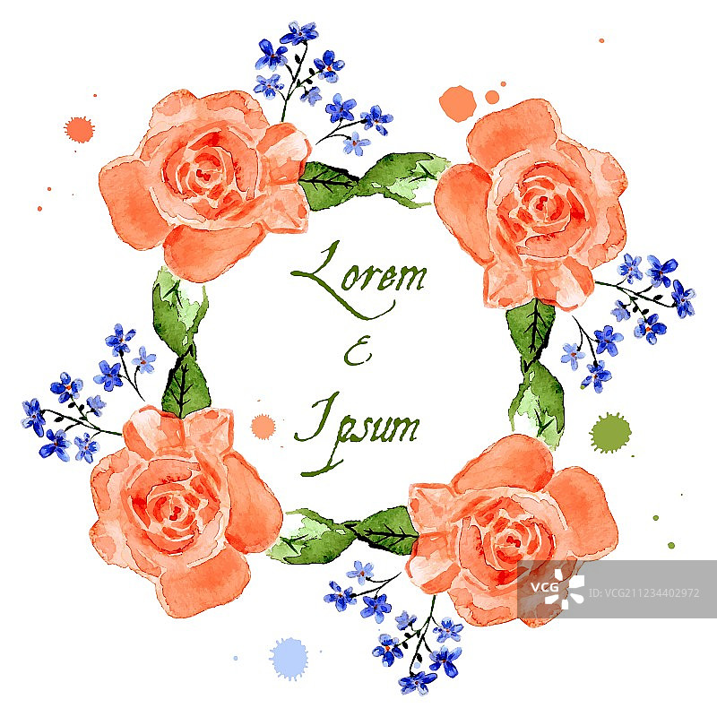 玫瑰与勿忘我花图片素材