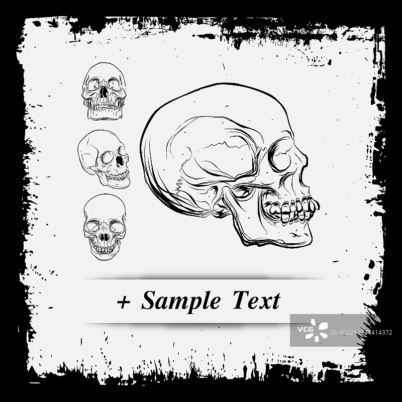 纸艺人类头骨图片素材