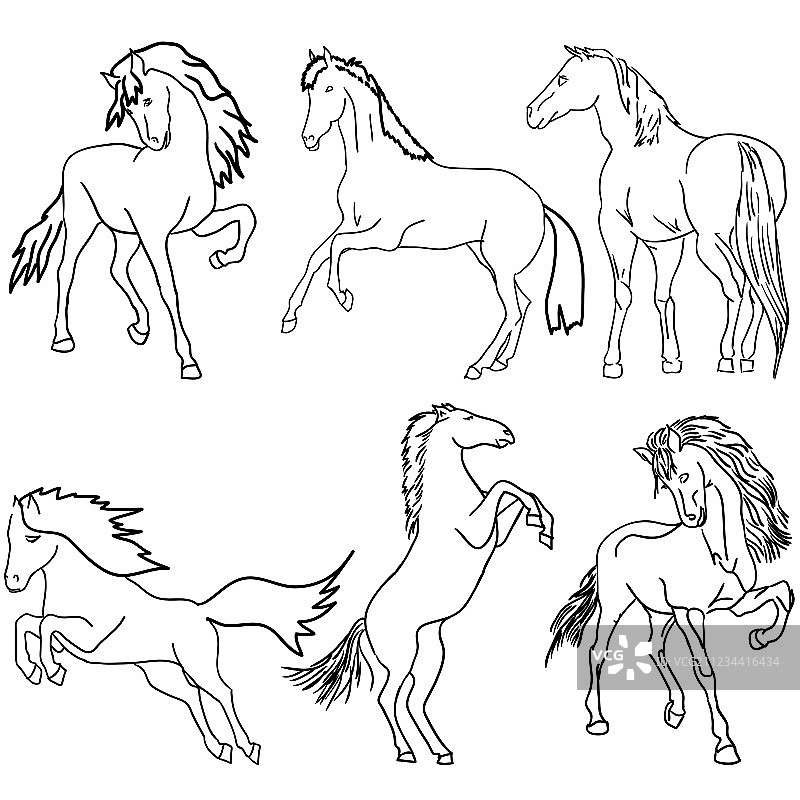 黑色马剪影（白色背景）图片素材