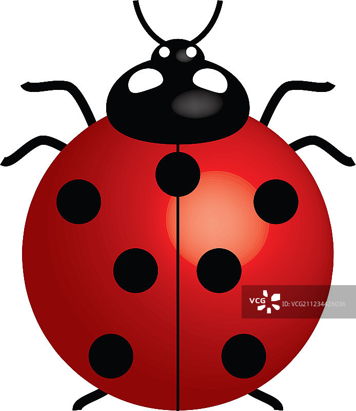瓢虫图片素材