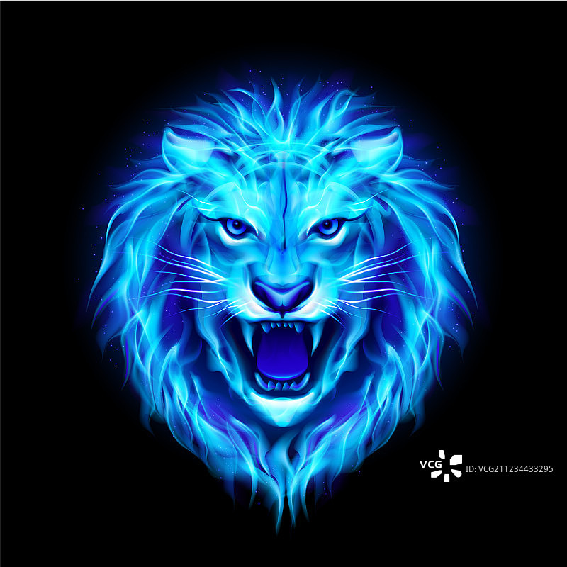 公平的狮子02图片素材