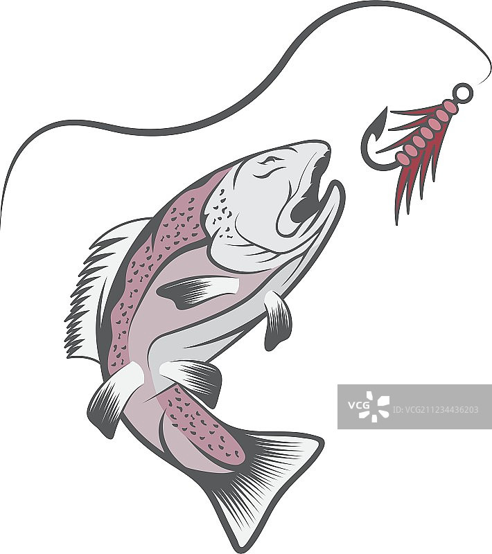 鳟鱼和拟饵钓鱼设计模板图片素材