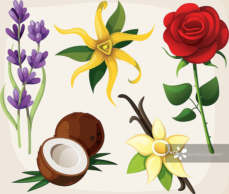 彩色花朵合集图片素材