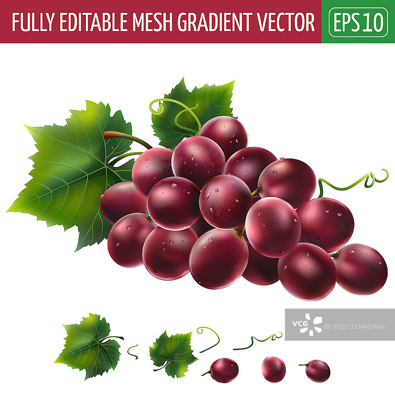 白色背景上的红葡萄图片素材