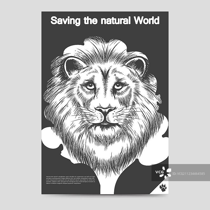 保护自然：狮子头像宣传册模板图片素材