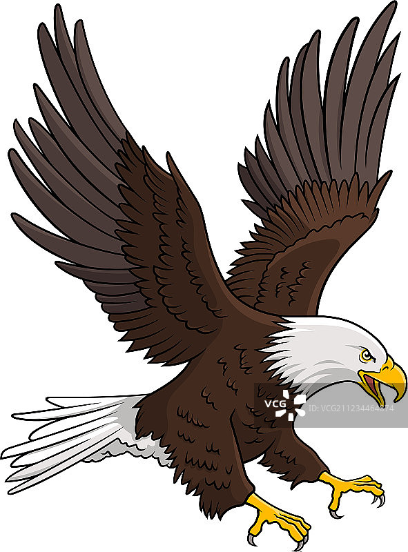 老鹰 005图片素材