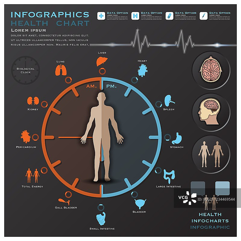生物钟健康医疗信息图图片素材