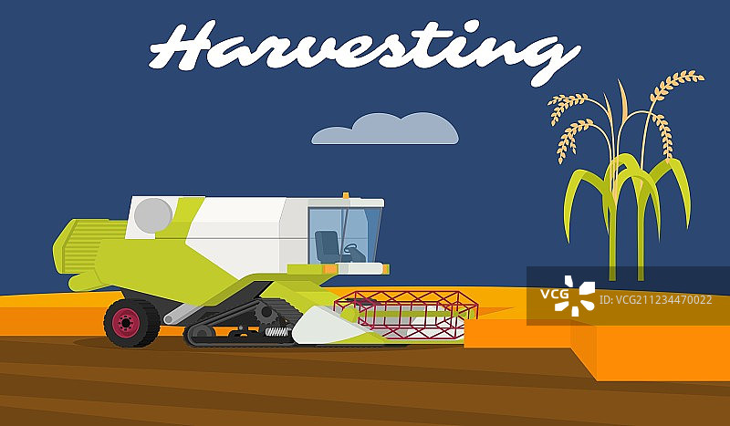 现代联合收割机在稻田作业图片素材