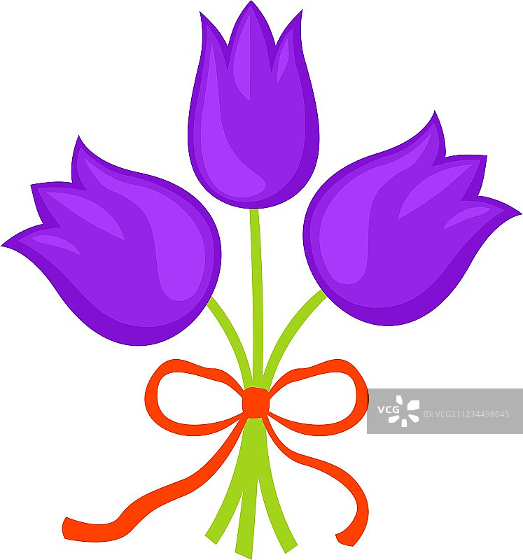 番红花属图片素材