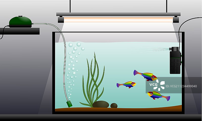 水族馆图片素材