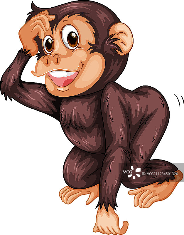 黑猩猩图片素材