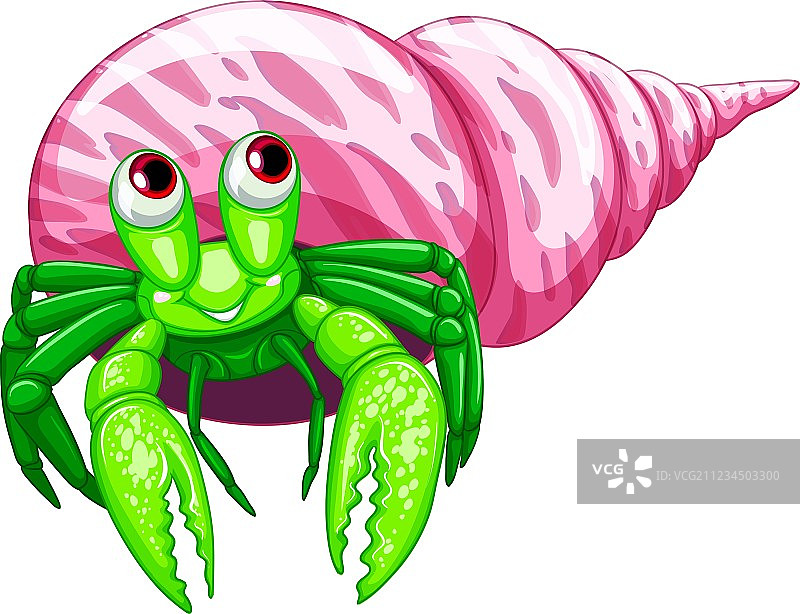 寄居蟹图片素材