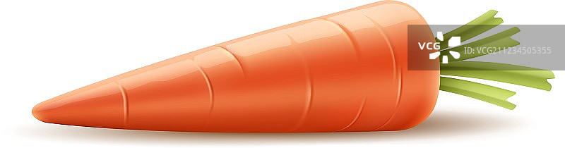 红色有机胡萝卜蔬菜图片素材