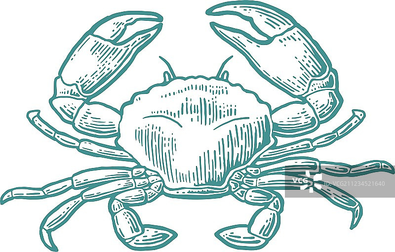 白色背景下的螃蟹图片素材