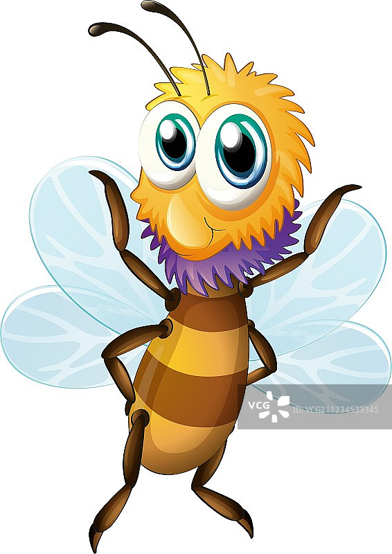 大蜜蜂图片素材