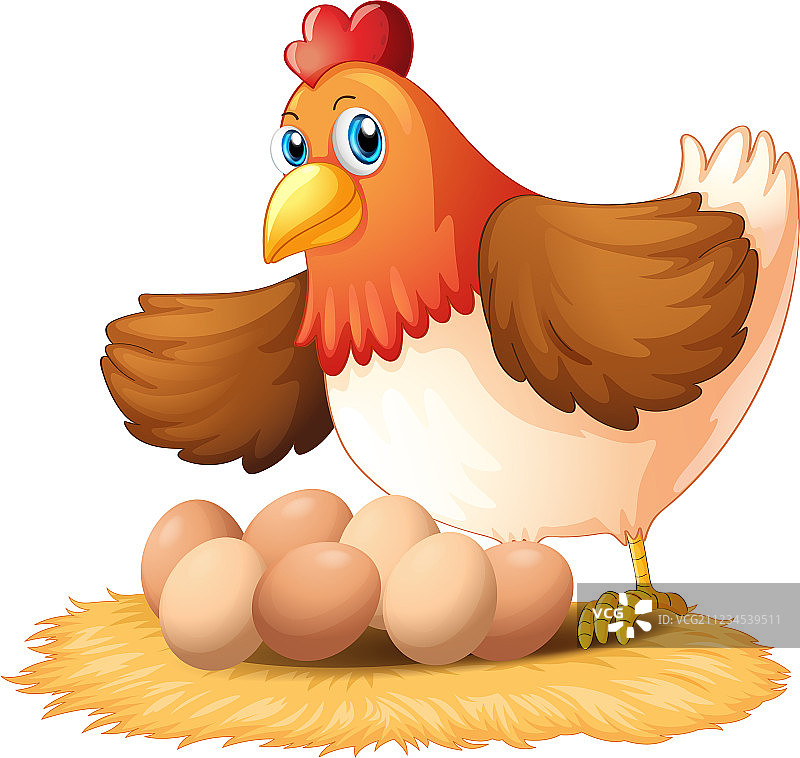 母鸡和她的七个蛋图片素材
