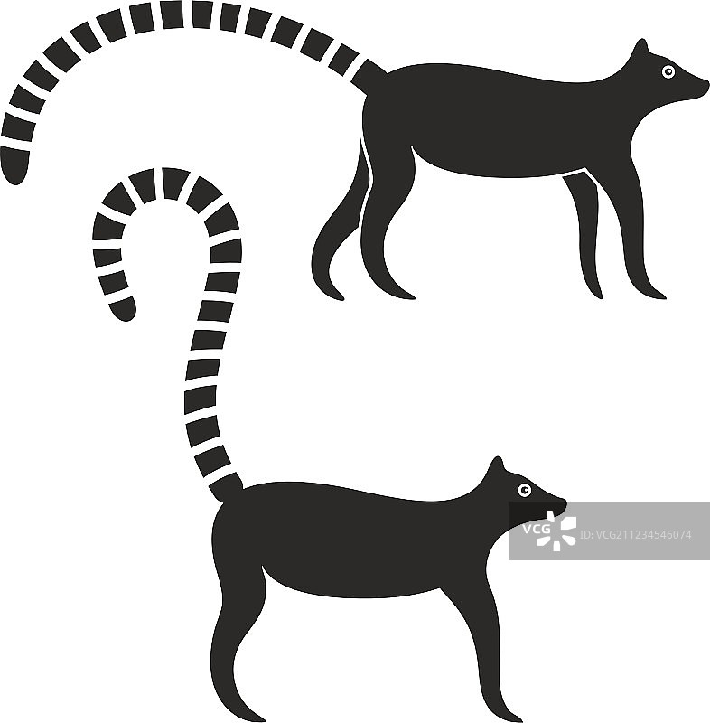 狐猴图片素材