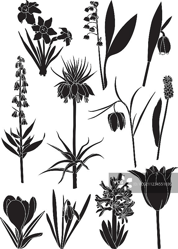 春花合集图片素材