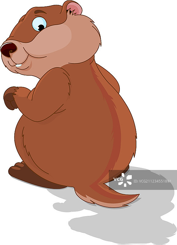 土拨鼠图片素材