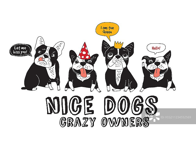 宠物：有趣的白色背景斗牛犬图片素材