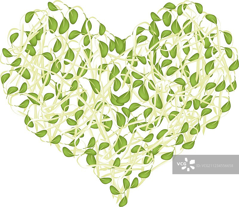 心形的新鲜豆芽图片素材