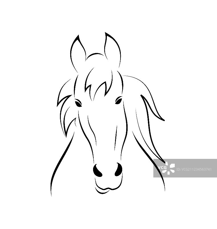 白色背景上的赛马轮廓图片素材