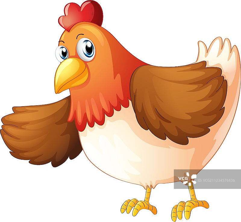 一只肥胖的大母鸡图片素材