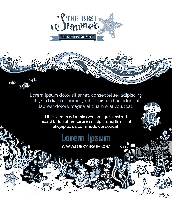 海洋生物背景图片素材