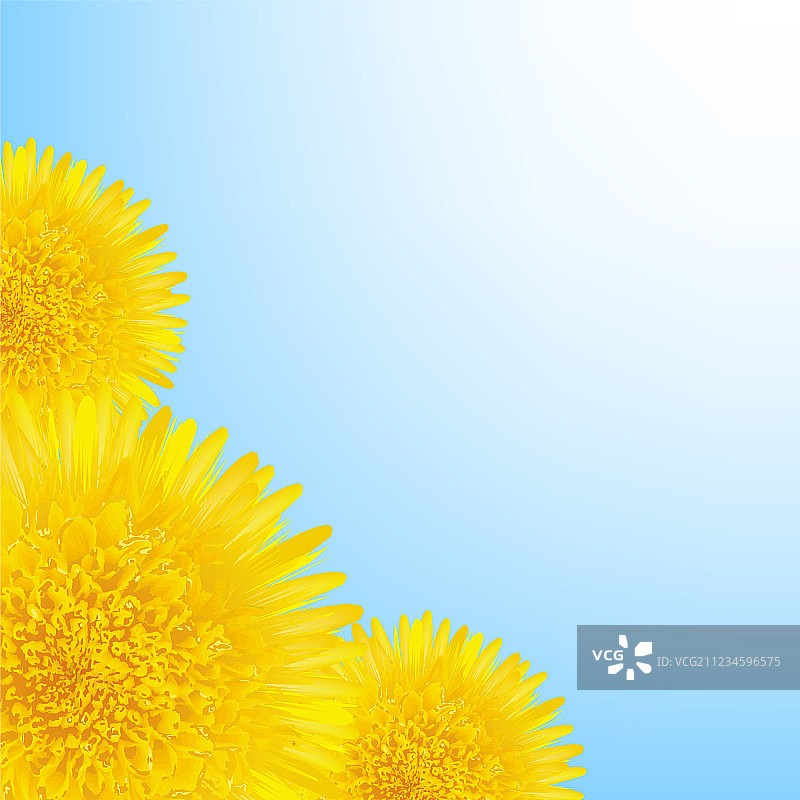 蒲公英花卉边框图片素材